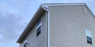 Best Vinyl Siding Installation  in Lampasas, TX